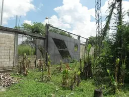 Vista 19