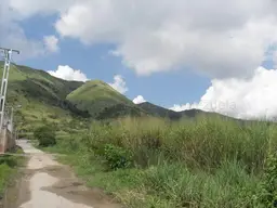 Vista 28