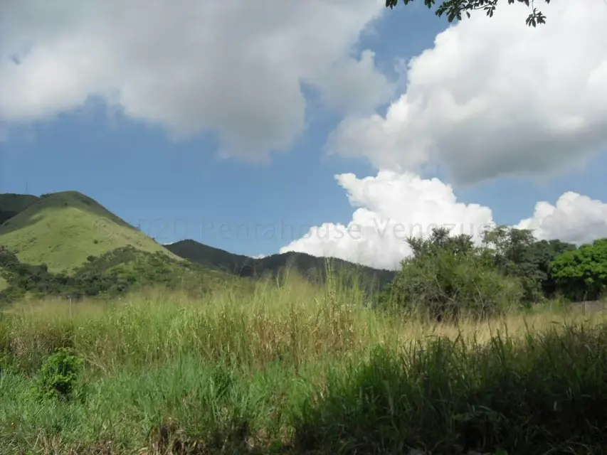 Terreno (Comercial) en Venta en Yagua, Carabobo - 4