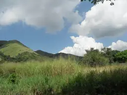 Vista 4