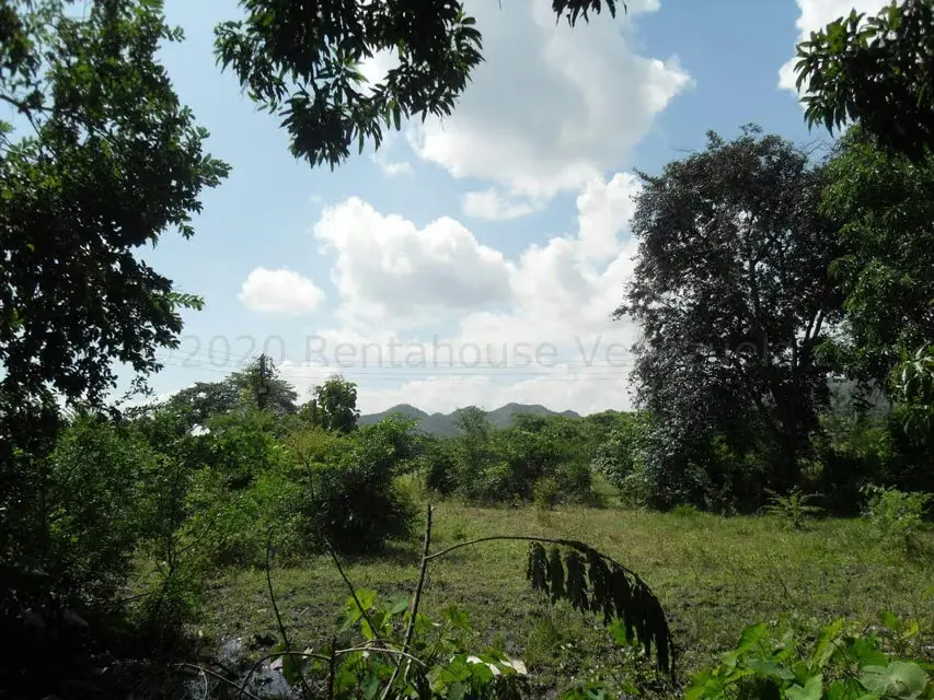 Terreno (Comercial) en Venta en Yagua, Carabobo - 5