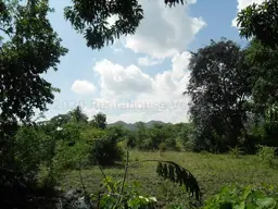 Vista 5