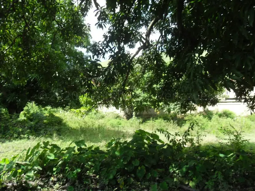 Terreno (Comercial) en Venta en Yagua, Carabobo - 6