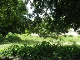 Vista 6