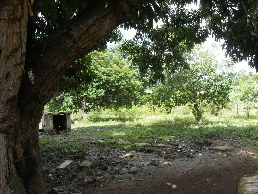 Terreno (Comercial) en Venta en Yagua, Carabobo - 7