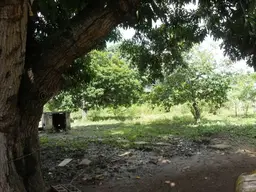 Vista 7
