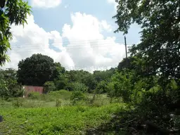 Vista 8