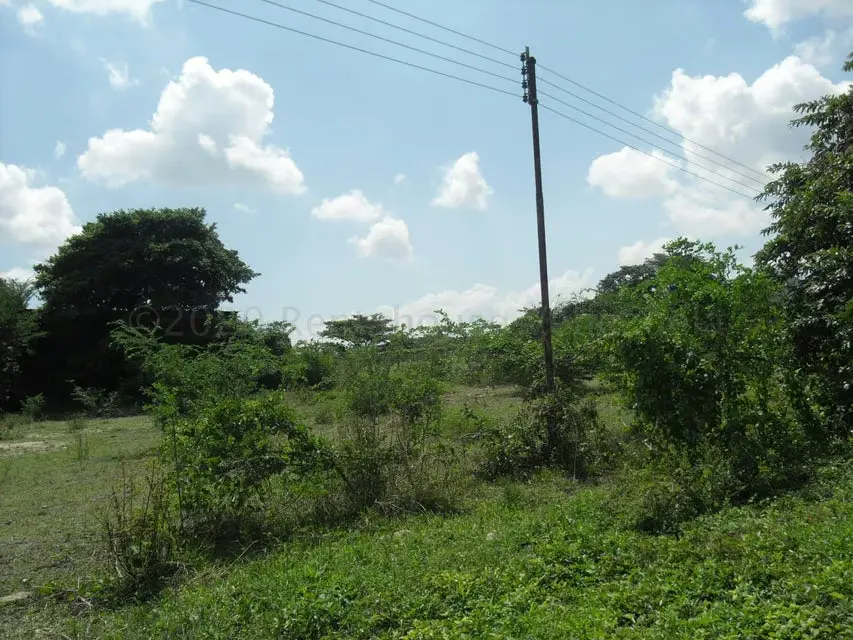 Terreno (Comercial) en Venta en Yagua, Carabobo - 9