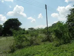 Vista 9