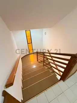 View 12