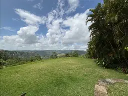 Vista 6