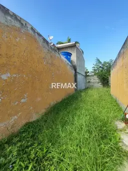 Vista 14