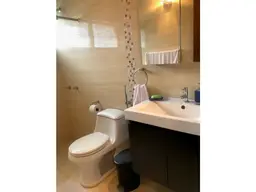 Vista 26