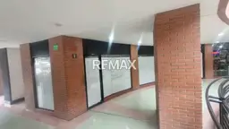 Vista 4