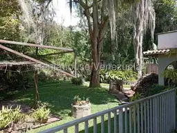 Vista 16