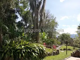 Vista 19