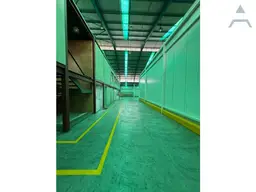 Vista 5