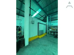 Vista 6