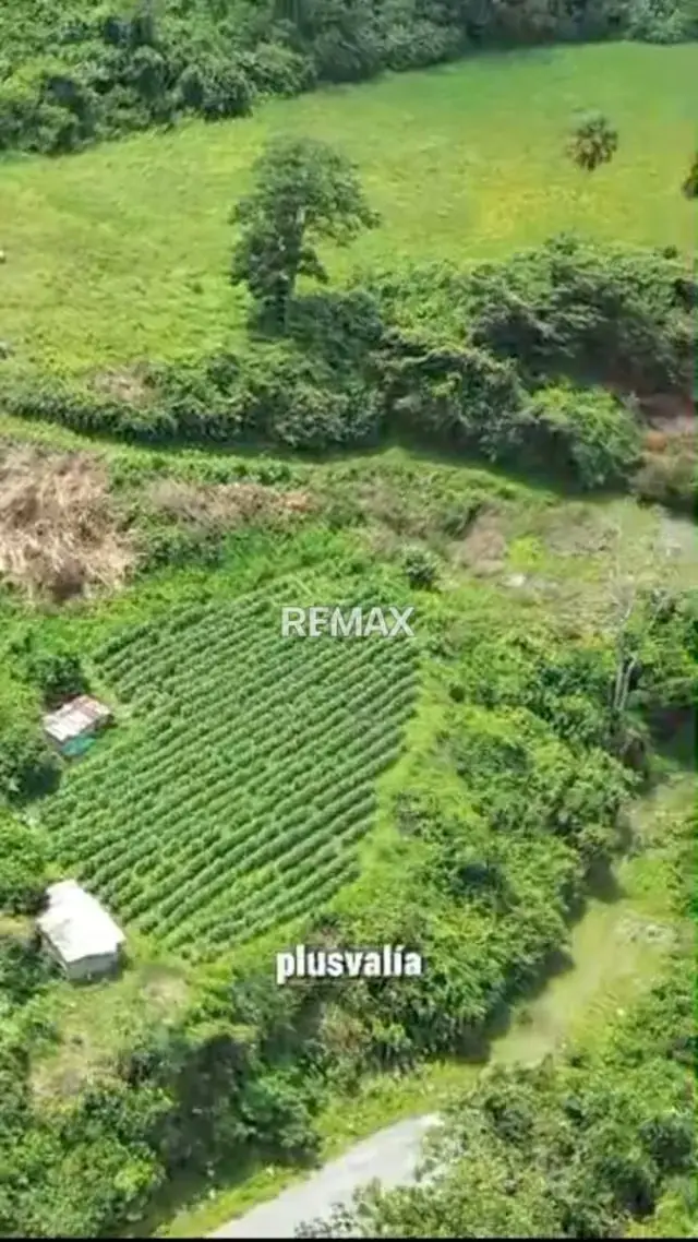 Terreno en venta