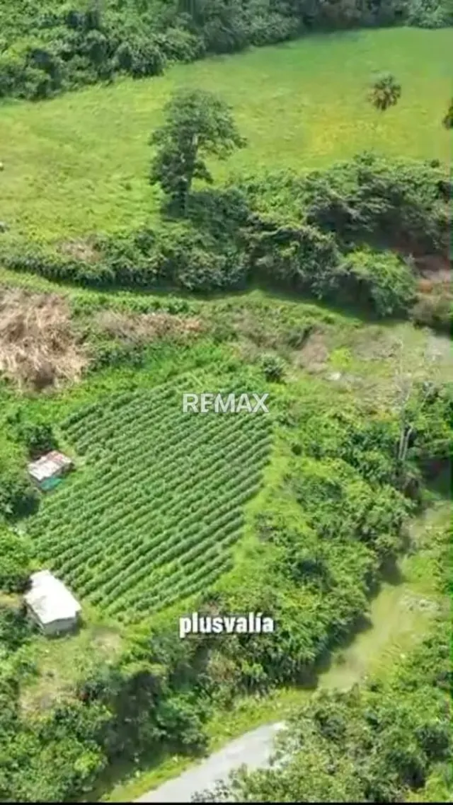 Terreno en venta