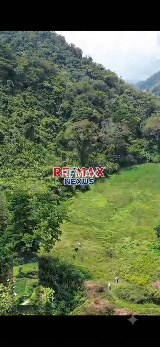 Terreno en venta - 2