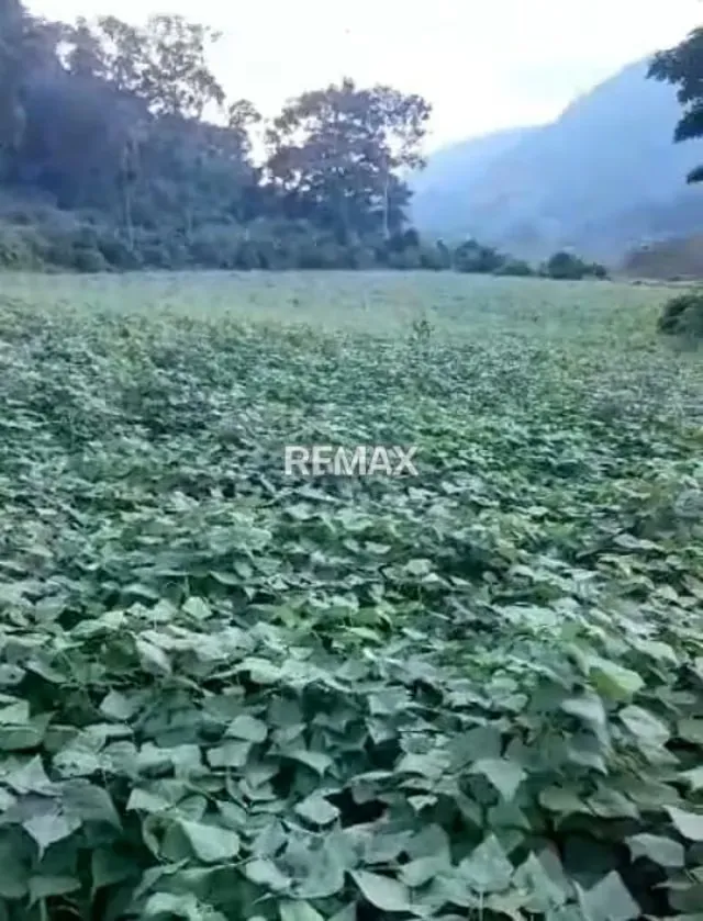 Terreno en venta - 4