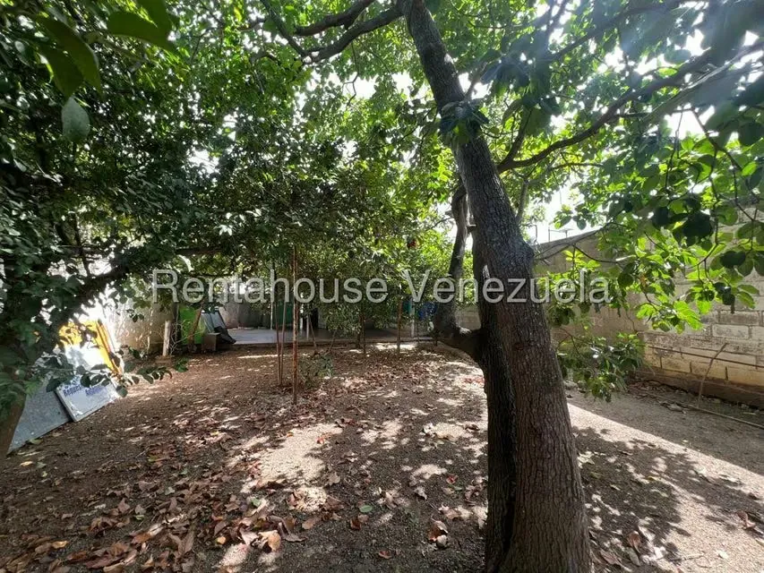 Casa (1 Nivel) en Venta en Parroquia Concepcion, Lara - 56