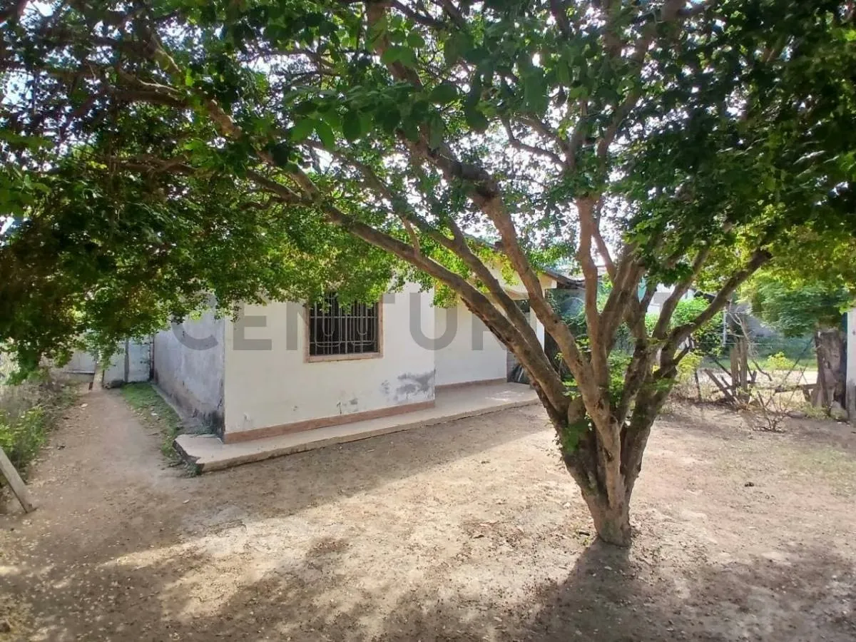 CASA ECONOMICA EN LA ISLA DE MARGARITA, LOS MILLANES, JUAN GRIEGO - 2