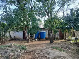 Vista 5