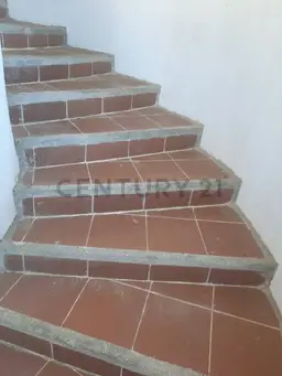 Vista 14