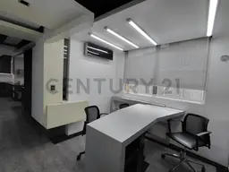 Vista 5