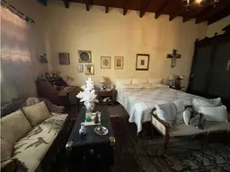 Vista 19