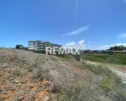 View 12