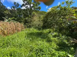 Vista 14