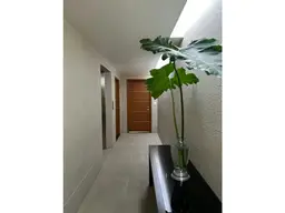 Vista 13