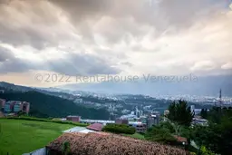 Vista 29