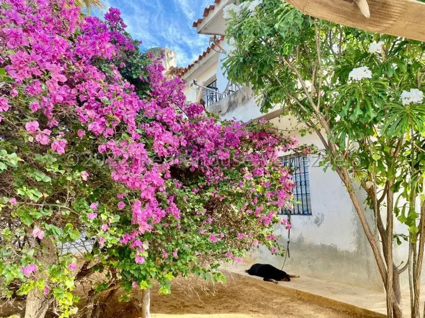 Casa (Duplex) en Venta en Santa Irene, Falcon - 29