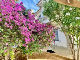 View 29