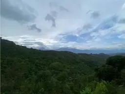 Vista 20