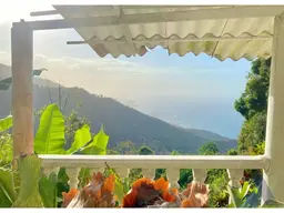 Vista 1