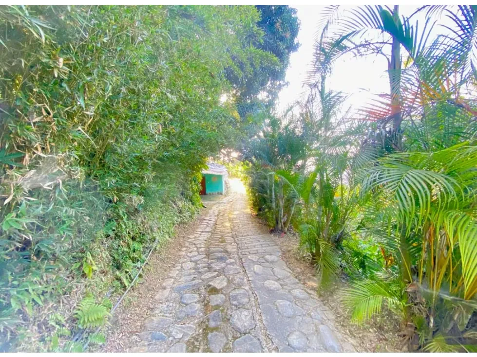 Vendo terreno 2.400m2 con Estructura para Vivienda Galipán 6450 - 31