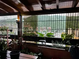 View 29