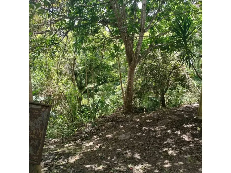 En venta parcela 4000 mts y casa para remodelar Gavilán El Hatillo - 32