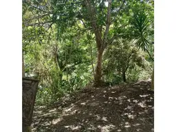 Vista 32