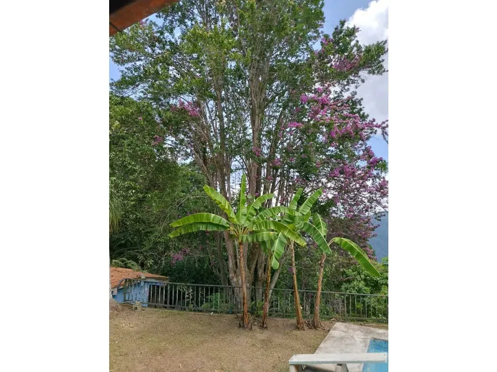 En venta parcela 4000 mts y casa para remodelar Gavilán El Hatillo - 34