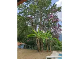 Vista 34