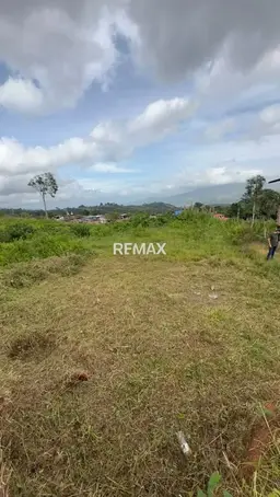 View 3