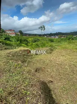View 4