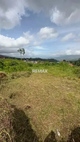 View 8