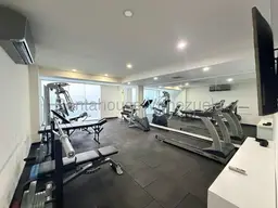 Vista 25
